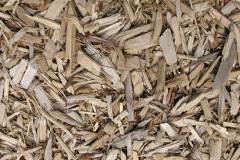 biomass boilers Treninnick